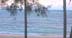 Maui North Shore Live Beach Cam
