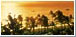 Kaanapali Live Beach Cam